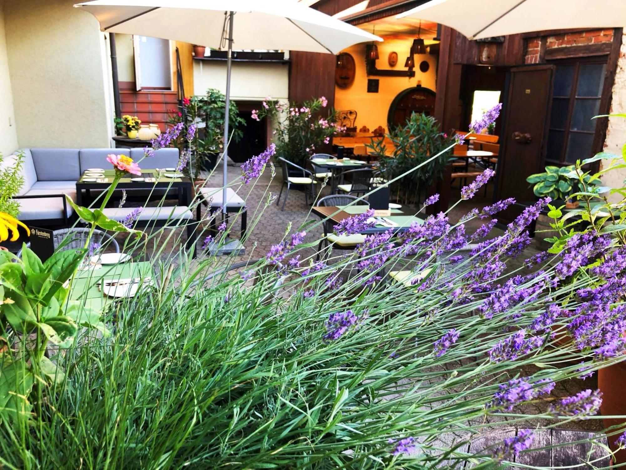 Appartements 'In Vino Veritas' Haslach im Kinzigtal Exterior foto